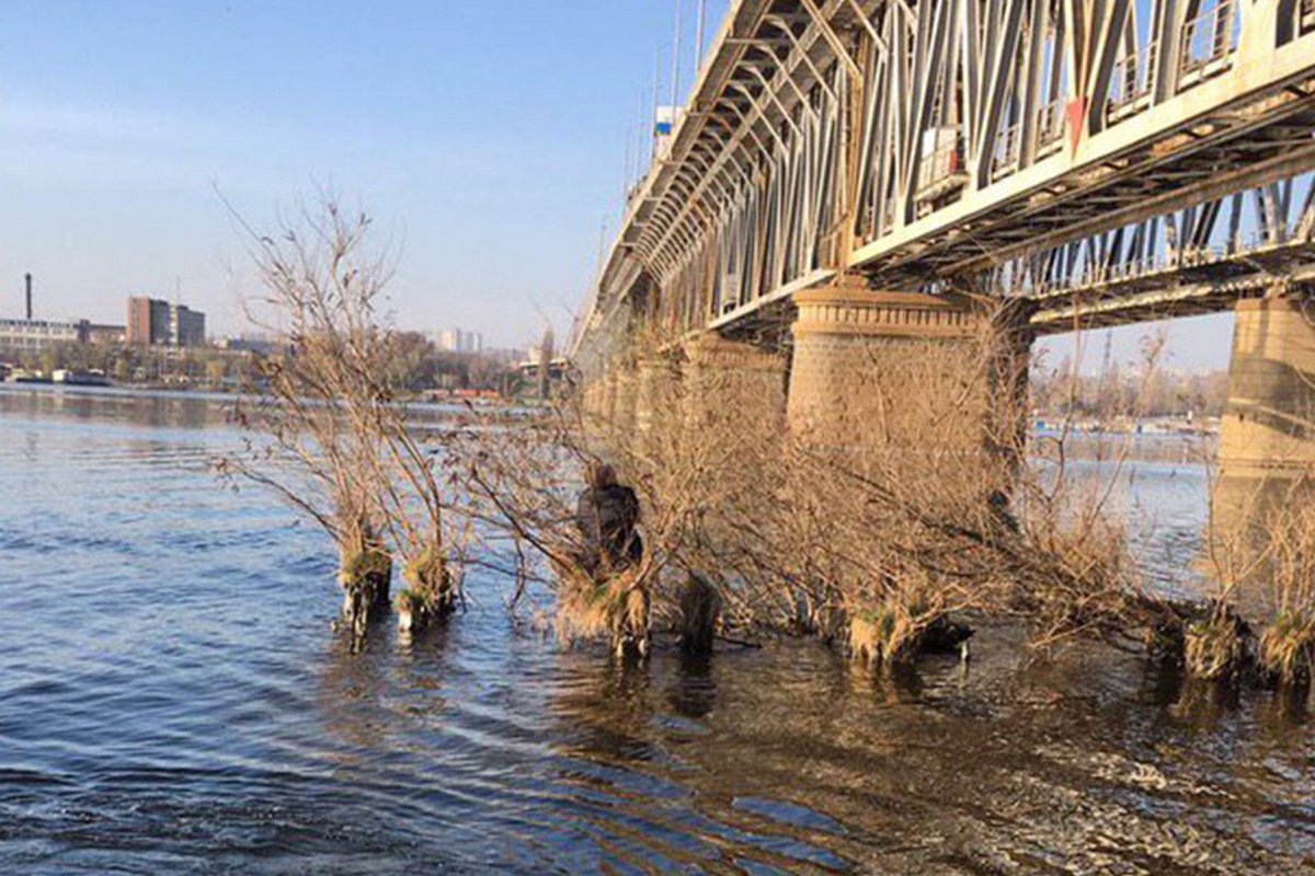 Мужчина держался за кусты до тех пор, пока к нему не подплыла спасательная лодка Мужчина держался за кусты до тех пор, пока к нему не подплыла спасательная лодка