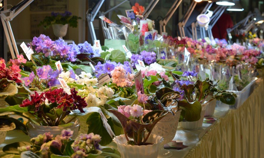 ТОП мероприятий, куда стоит пойти на выходных в Днепре 3