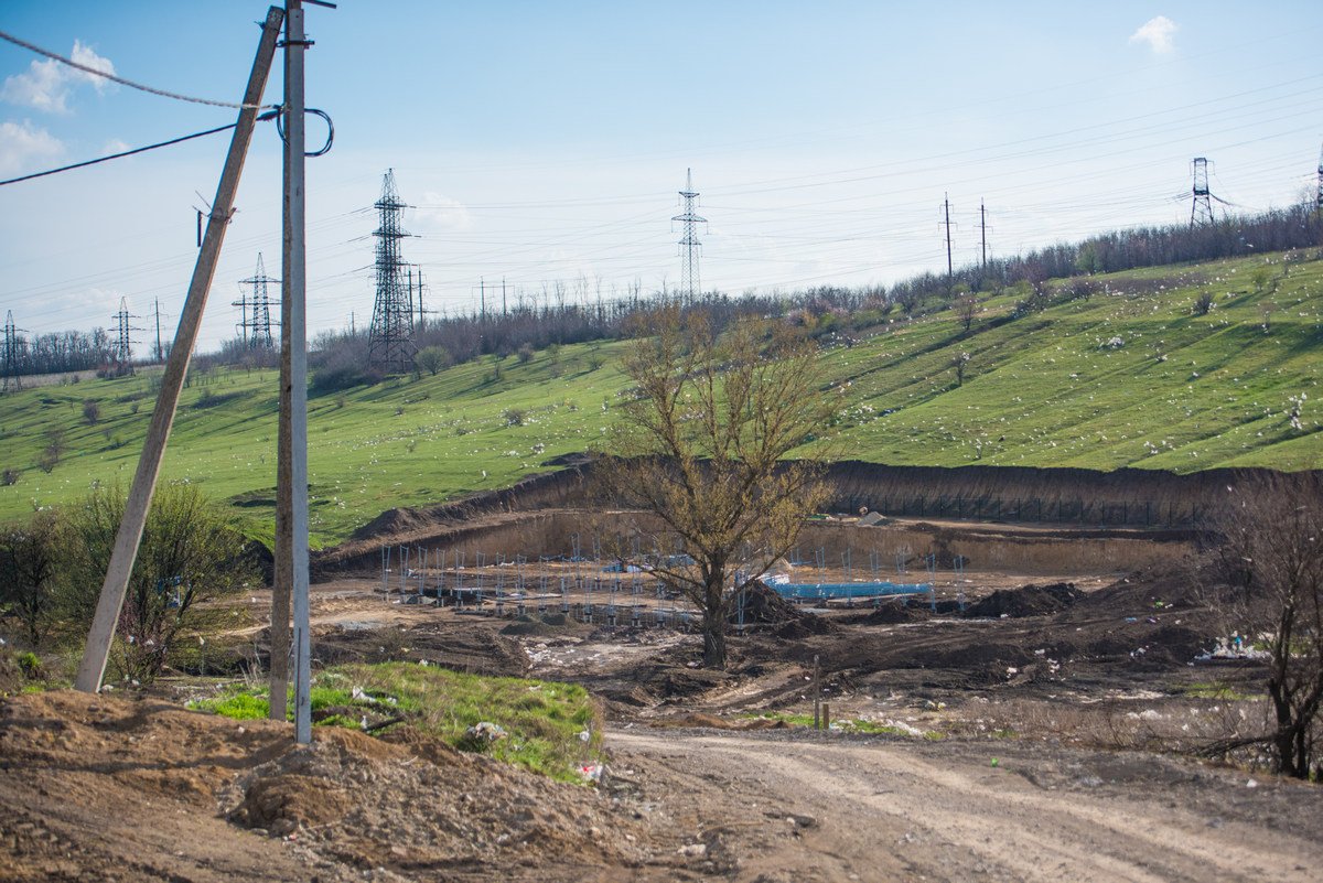 Кулечки пасутся на лугу Кулечки пасутся на лугу