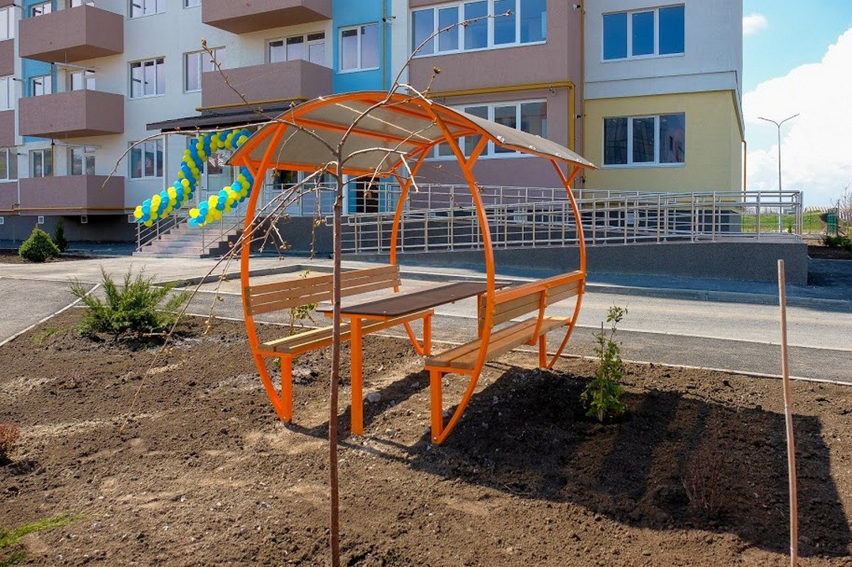 Во дворе высадили новые деревья