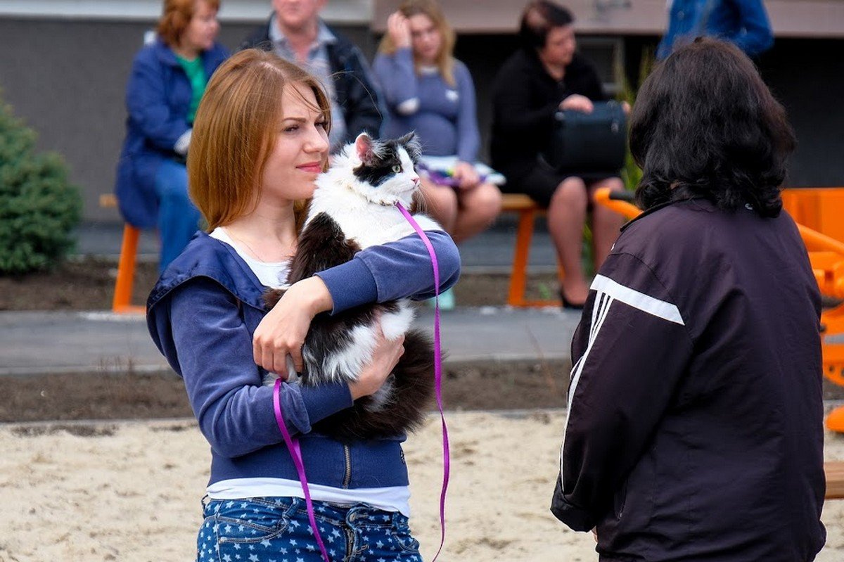 Первым в новое жилье должен зайти кот. Уж такая народная примета