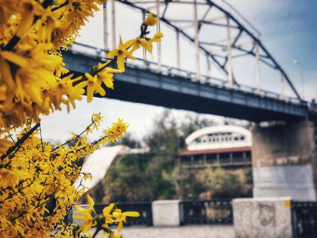 Время цветов. Фото: olyanabond
