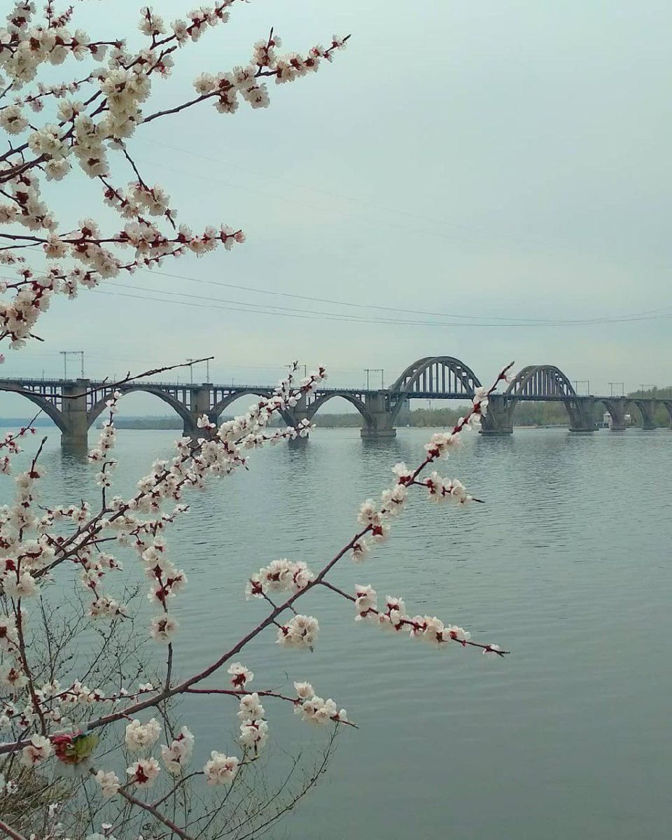 Весенний город завораживает. Фото: kondakov_nikita