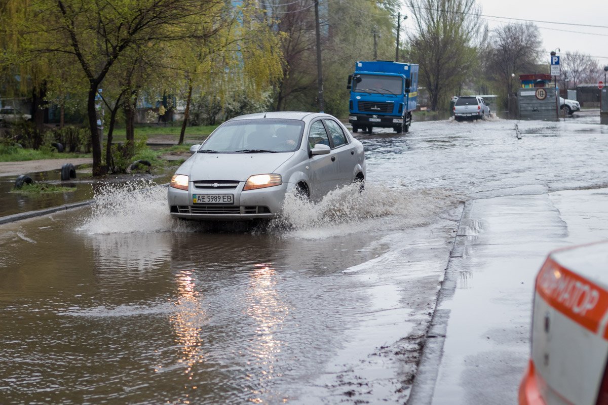 Я уточка, я в луже...
