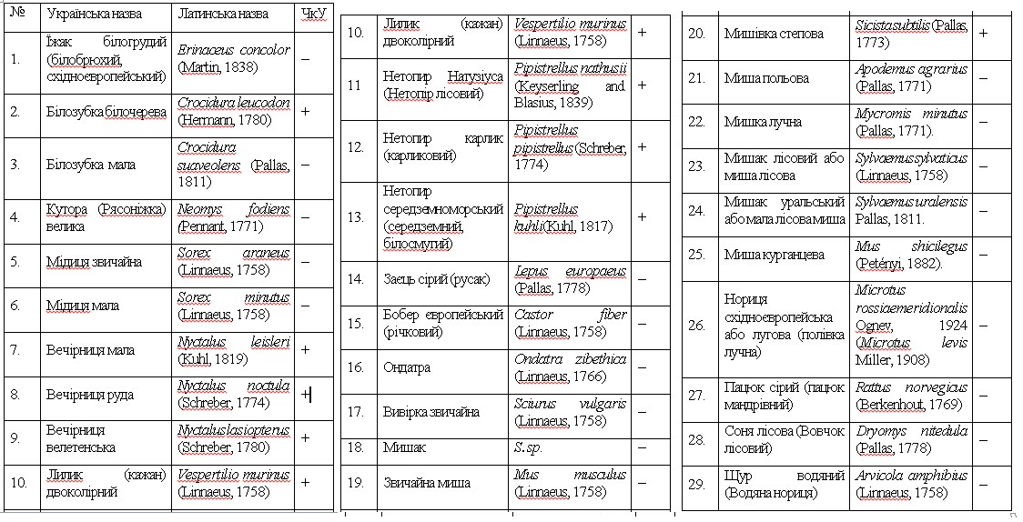 Млекопитающие Млекопитающие