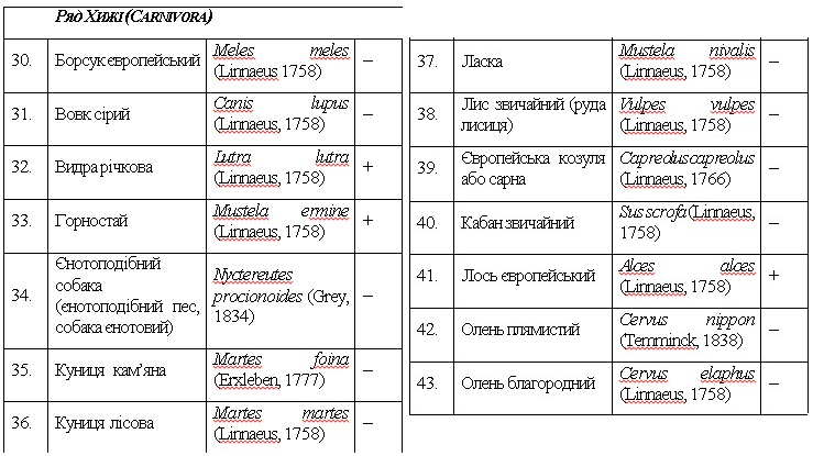 Хищные млекопитающие Хищные млекопитающие