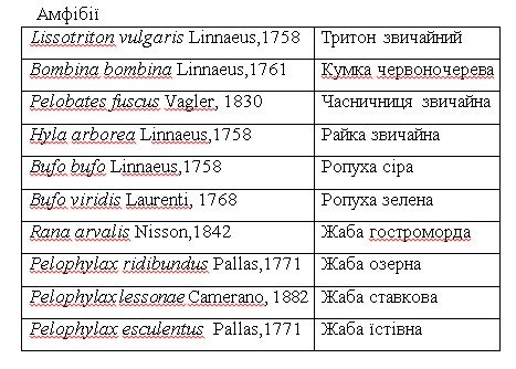 Амфибии Амфибии