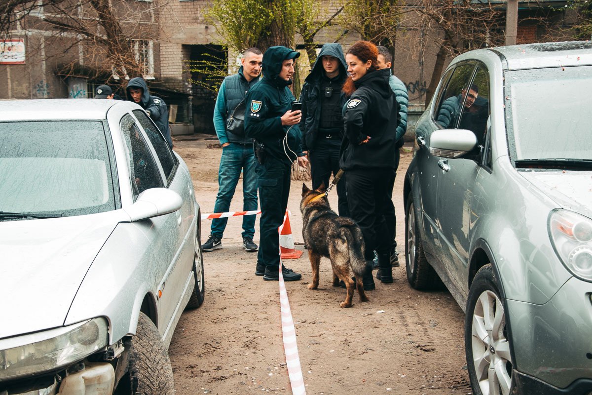 Следственные действия продолжаются Следственные действия продолжаются