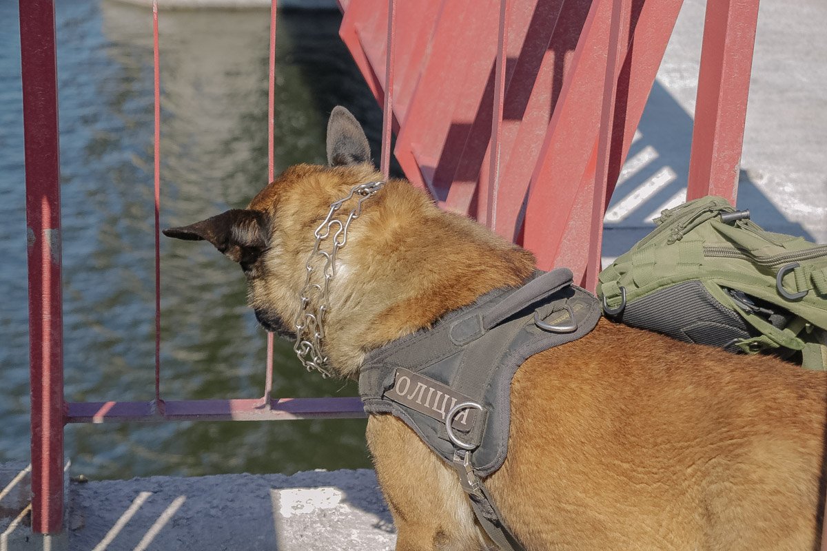 Сециалист по разминированию мостов Сециалист по разминированию мостов