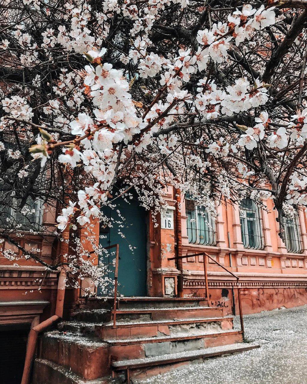 Весна облюбовала город. Фото: alonjasha Весна облюбовала город. Фото: alonjasha