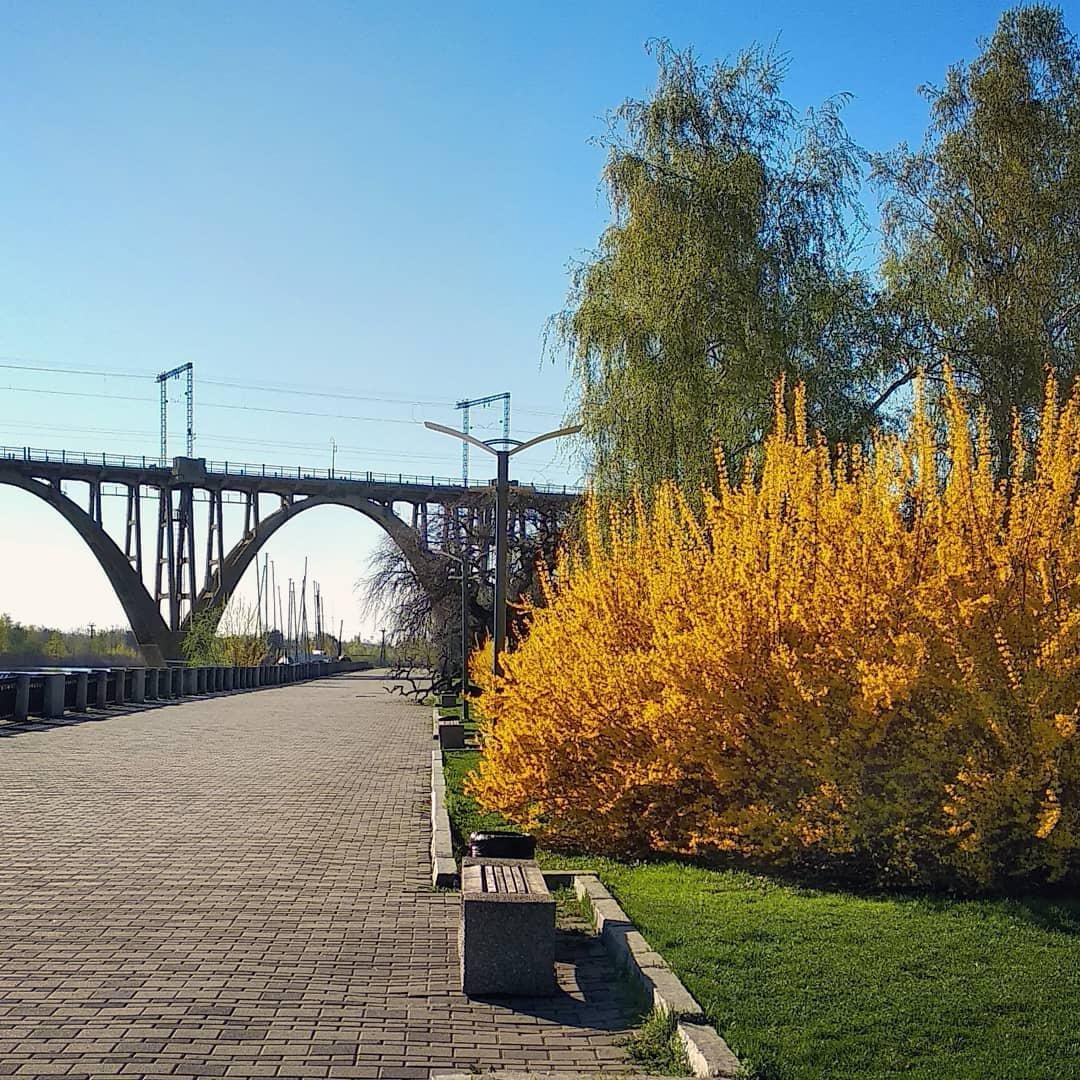 Природа любит город. Фото: pashaklyova Природа любит город. Фото: pashaklyova