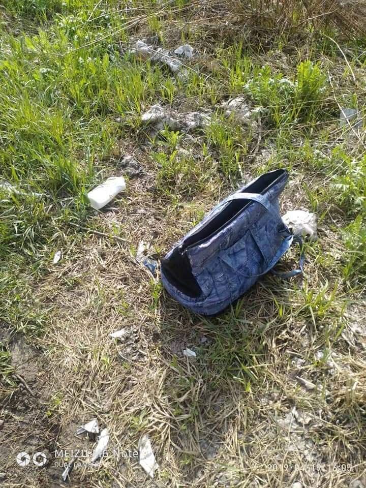 В Днепре люди засунули домашнюю кошку в сумку и выбросили в лес 2