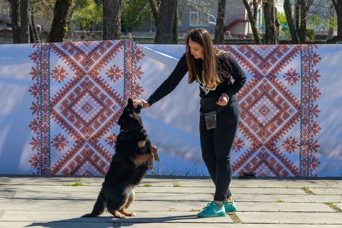 В Днепре ДТЭК Приднепровской ТЭС организовала субботник 13