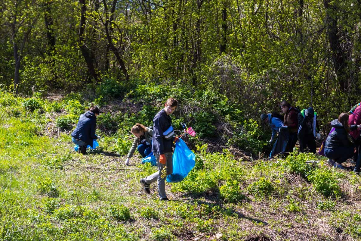 Парк стал чище Парк стал чище