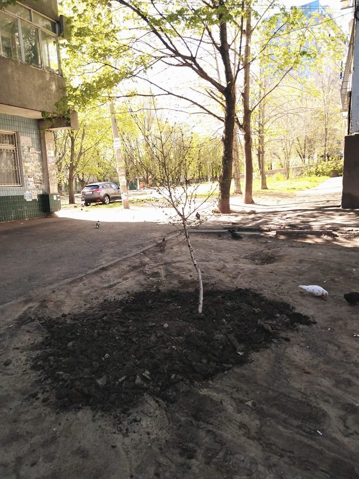 Время подумать о Земле Время подумать о Земле