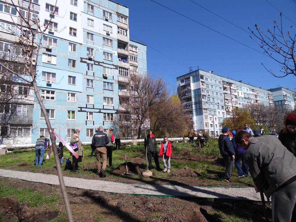 На 12 квартале высадили кленовый сад На 12 квартале высадили кленовый сад