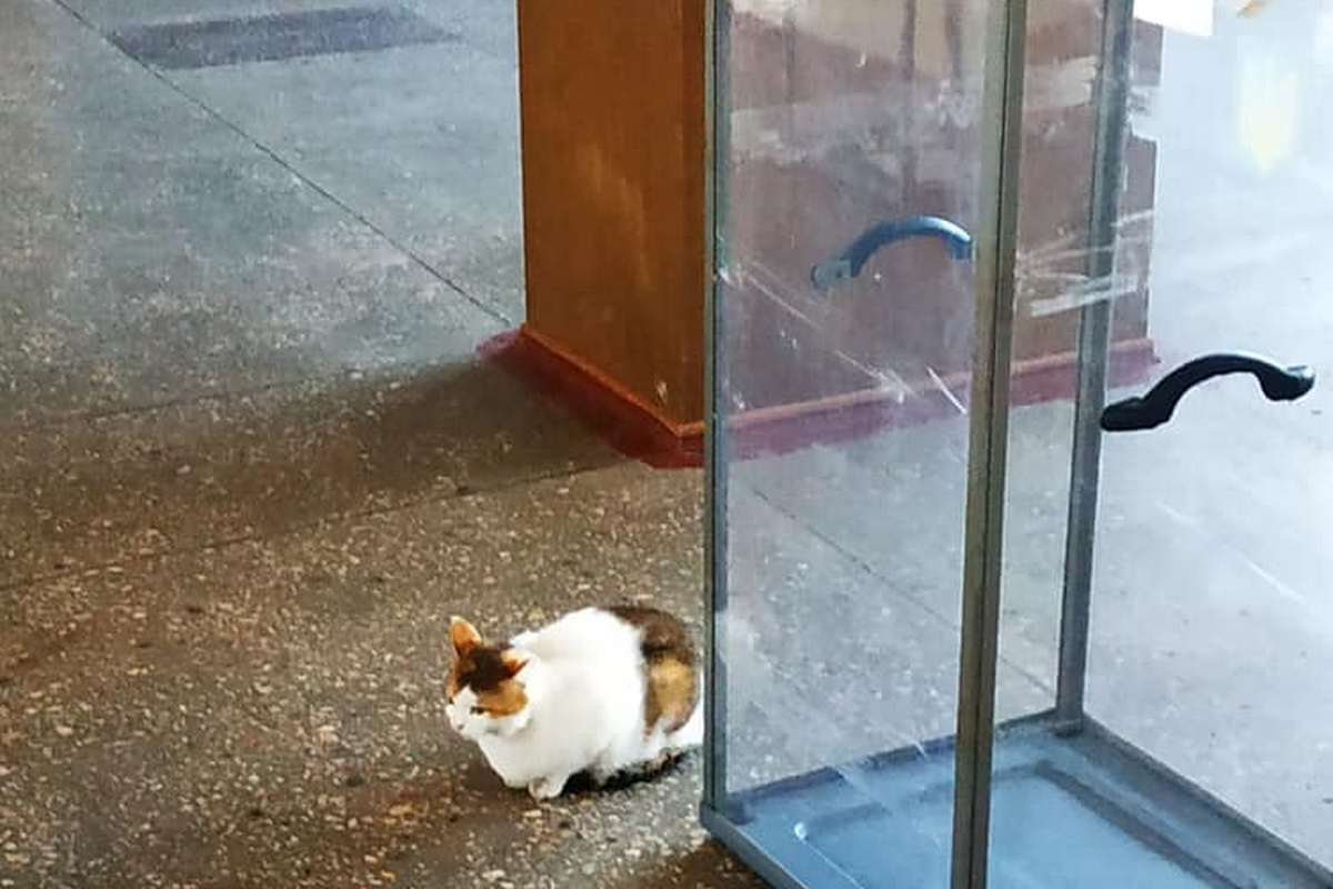 Глава избирательной космиссии Глава избирательной космиссии