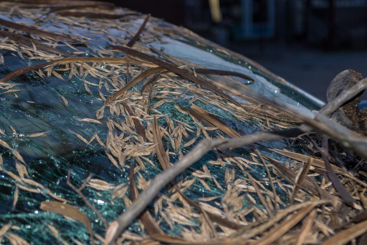 Все детали и обстоятельства происшествия выясняются Все детали и обстоятельства происшествия выясняются