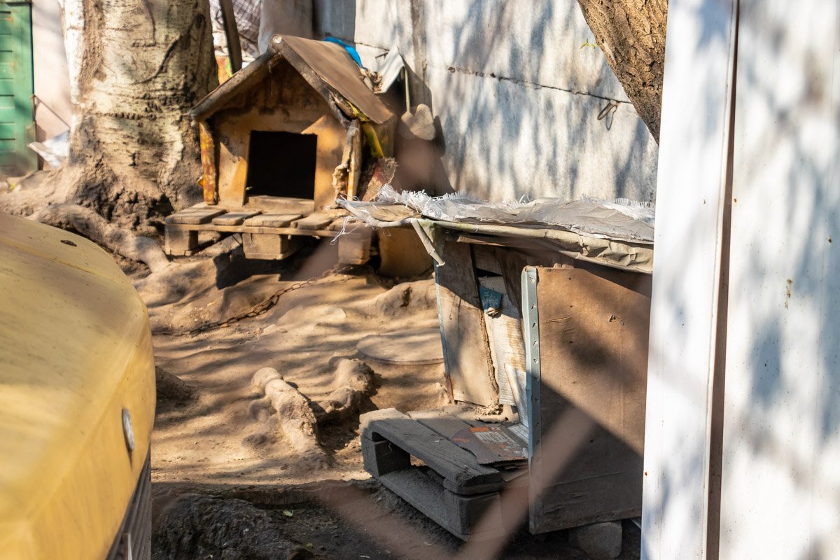 Боеприпас лежал в собачьей будке