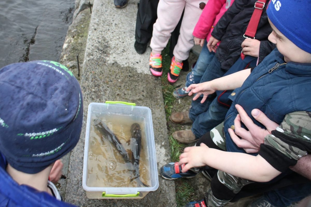 Хорошая экотрадиция: детей приглашают выпустить рыбку в Днепр 1