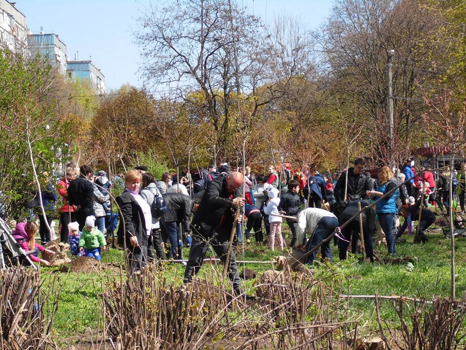 В Днепре высадили первый Кленовый сад 1