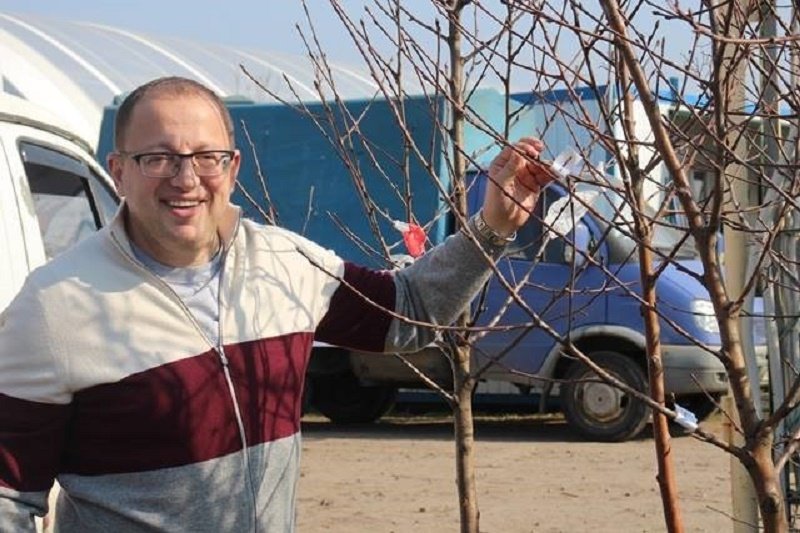 В Днепре высадили первый Кленовый сад 5