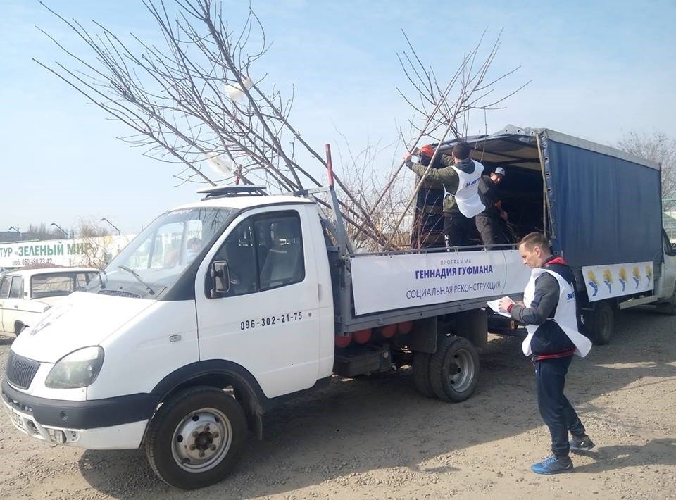 В Днепре высадили первый Кленовый сад 6