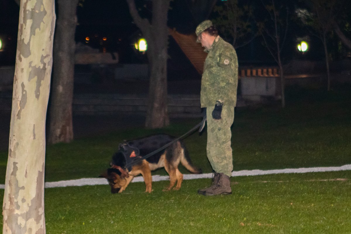 Кинологи осмотрели территорию клуба