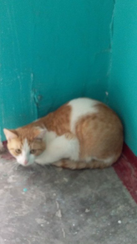 Чья потеря? Чья потеря?