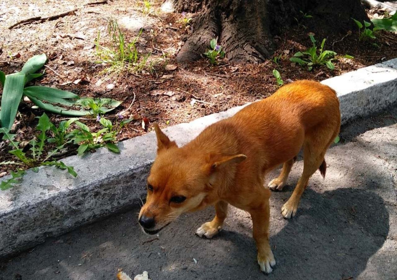 Малышка боится Малышка боится