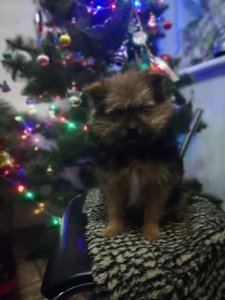 Вернись Вернись