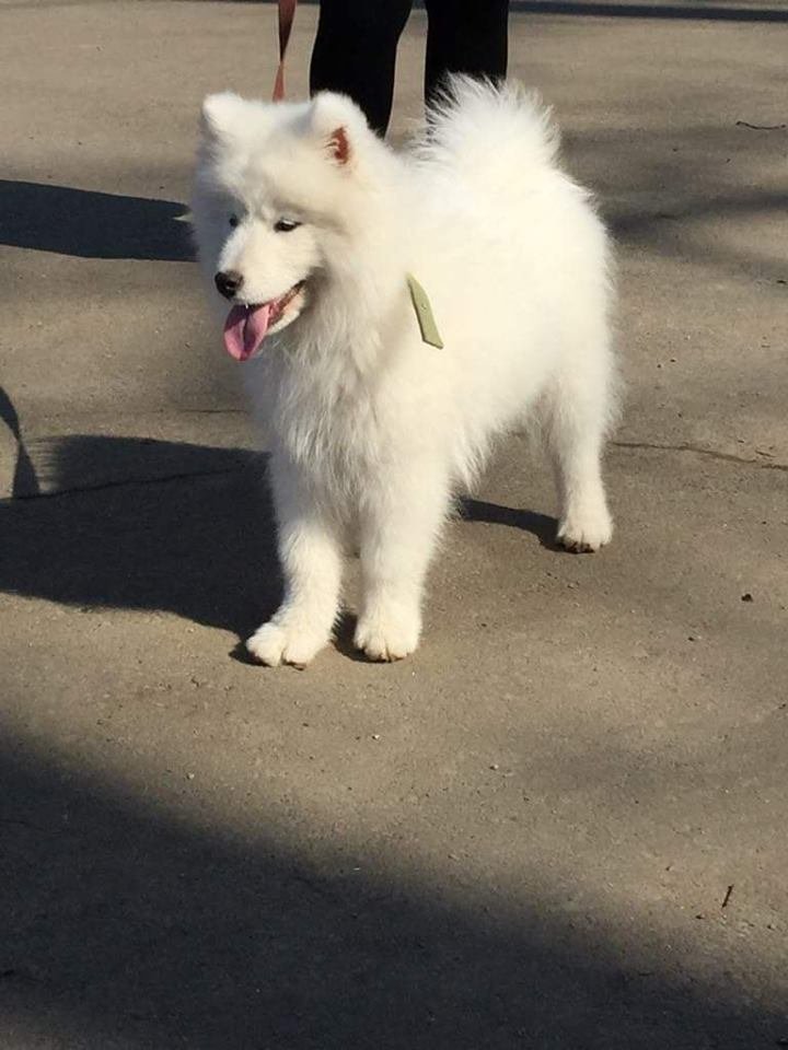 Помогите вернуться Помогите вернуться