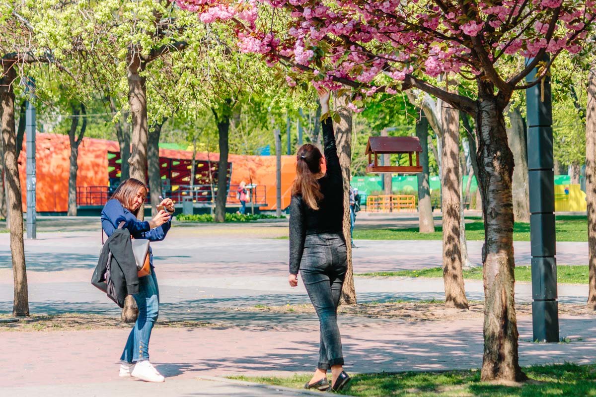 Дотянуться до прекрасного Дотянуться до прекрасного
