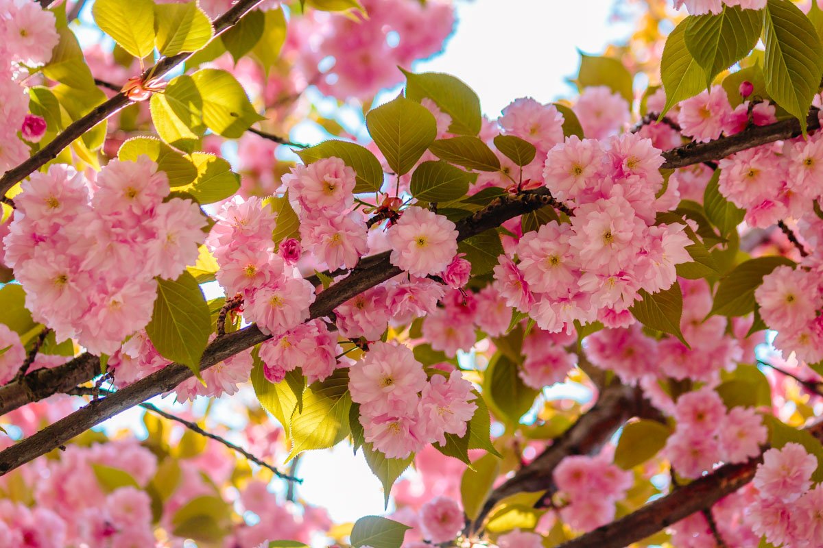 Отвлекитесь от городской суеты Отвлекитесь от городской суеты