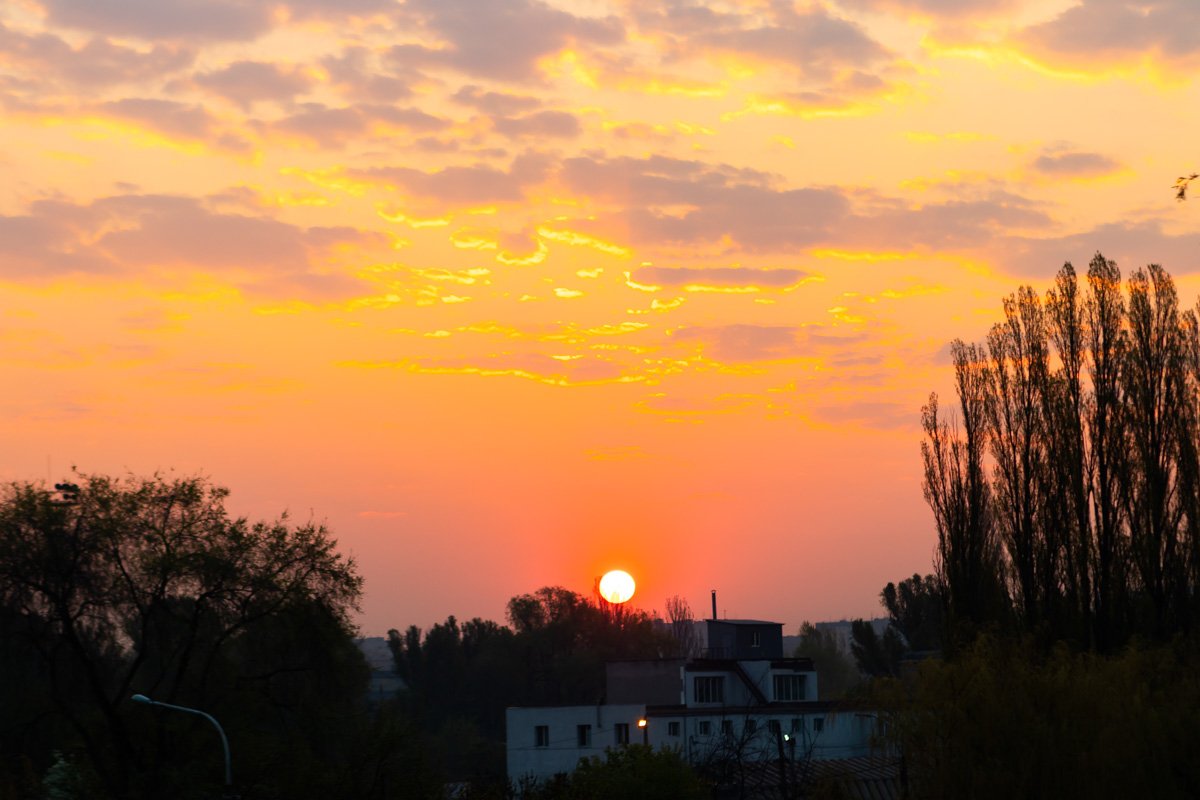 Если утро понедельника, то такое Если утро понедельника, то такое