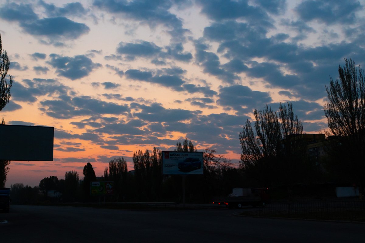 Фото: Дмитрий Федоров Фото: Дмитрий Федоров