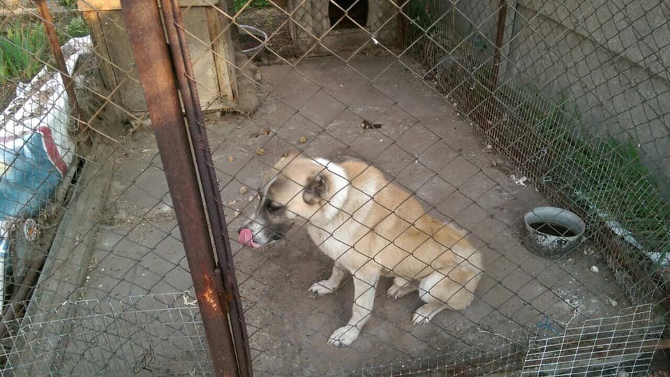 Перестали кормить Перестали кормить