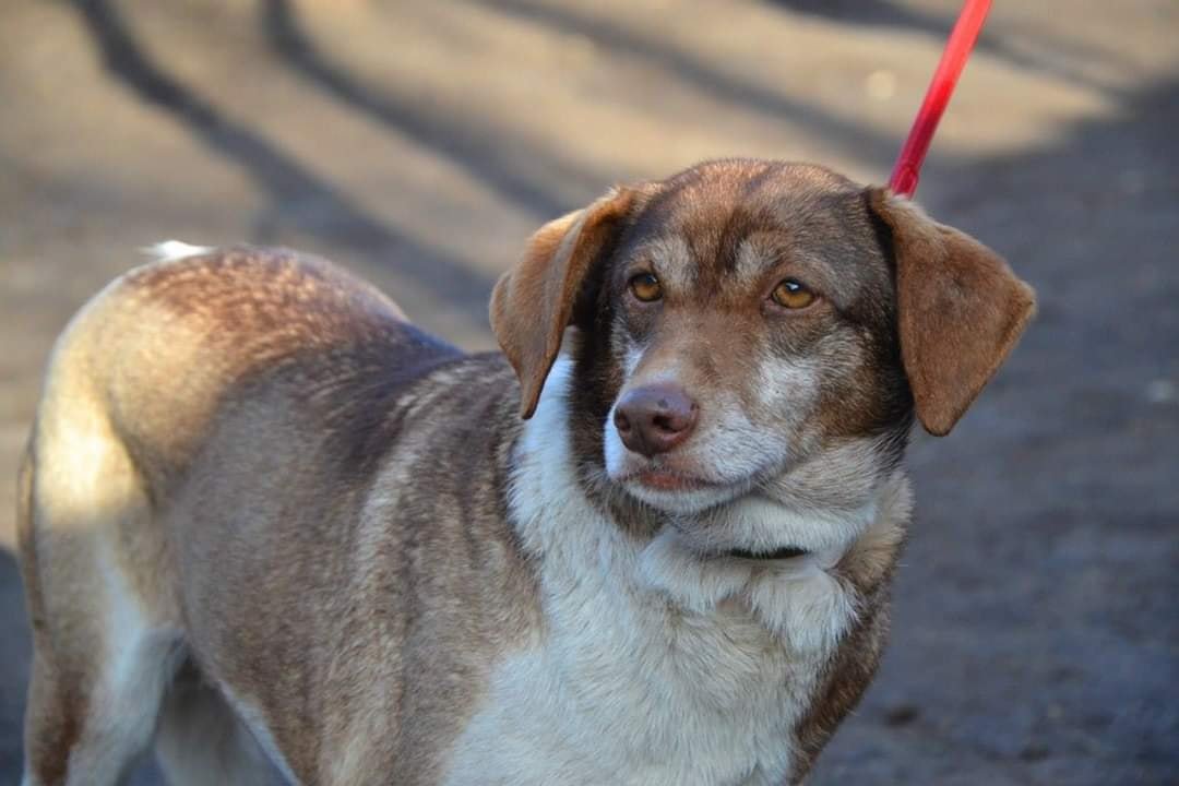 Умные глаза Умные глаза