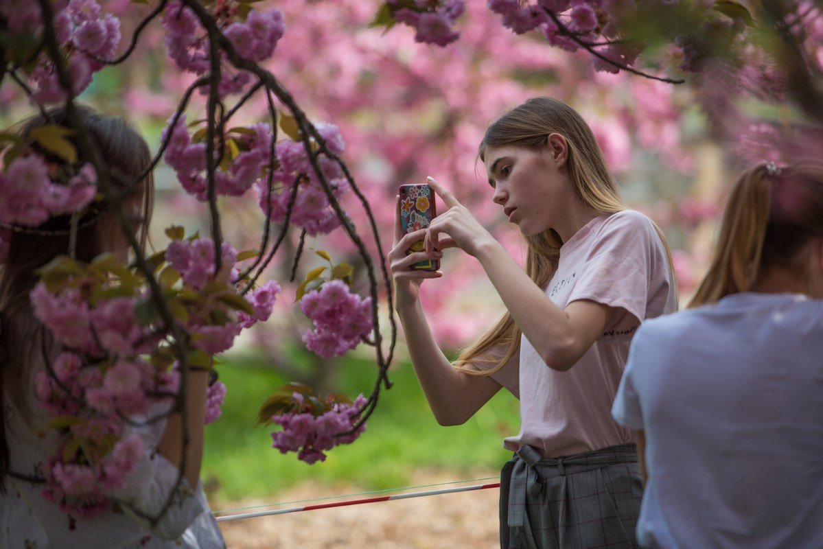 Так пополняется Instagram