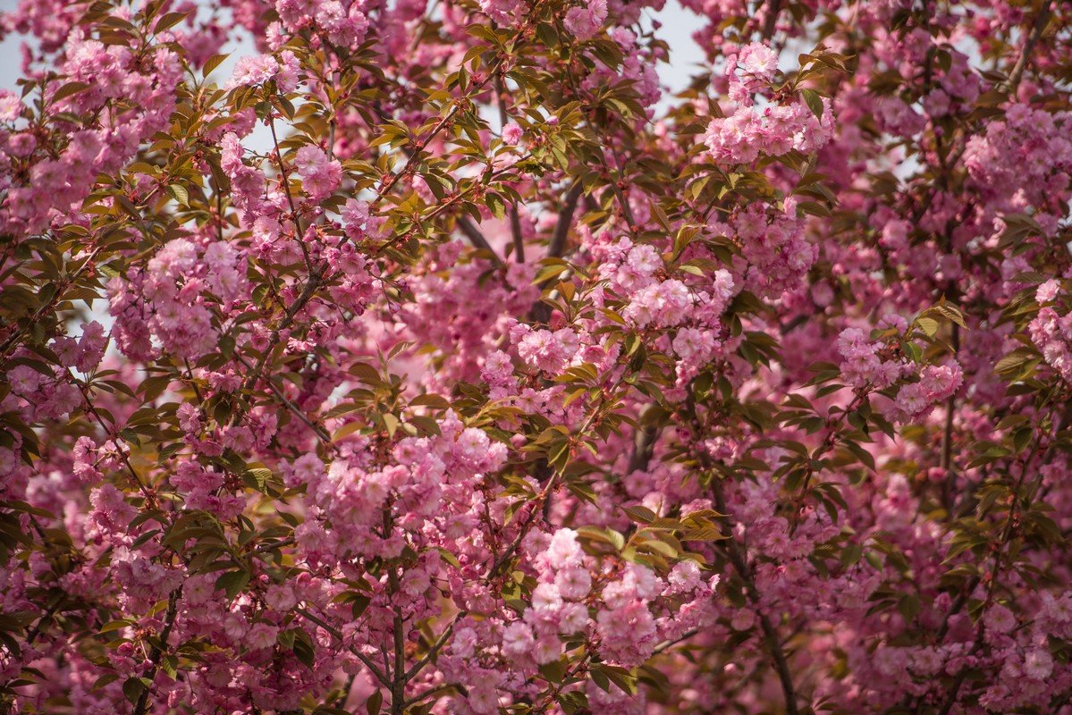 Отвлекитесь от городской суеты