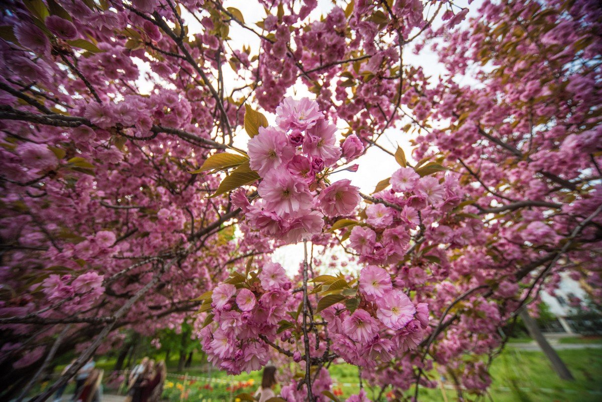 Она хочет сделать с тобой фото