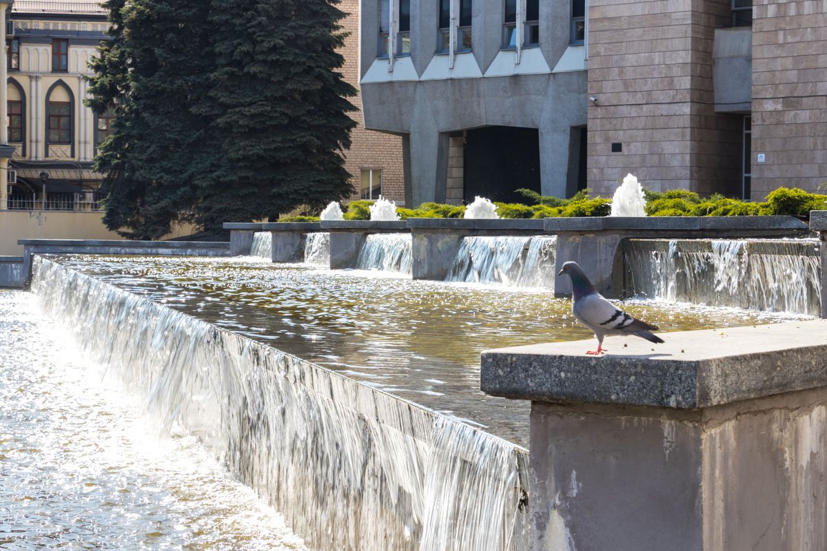 Курлык Курлык