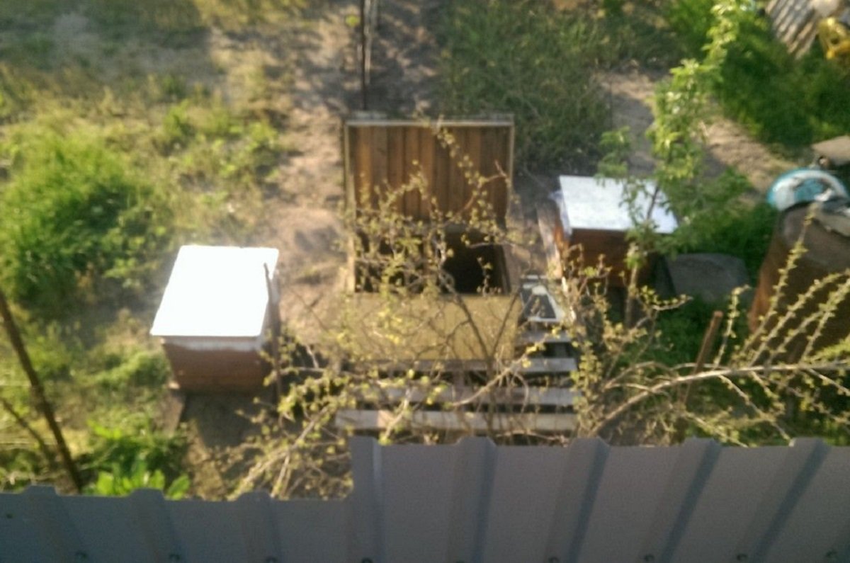 В Днепре мужчина установил улей В Днепре мужчина установил улей