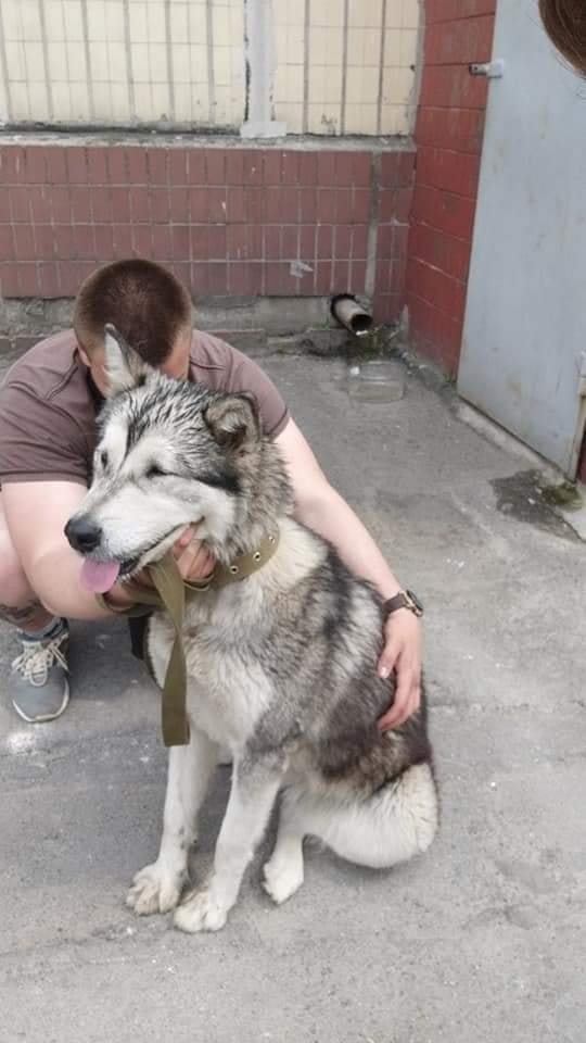 Хочет найтись Хочет найтись