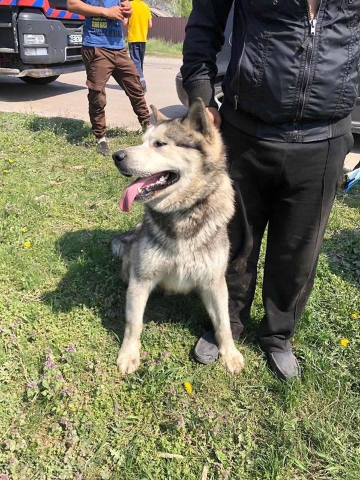 Малыш готов найтись Малыш готов найтись