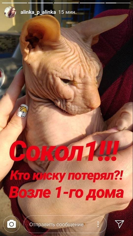 Ребенок у новых хозяев Ребенок у новых хозяев