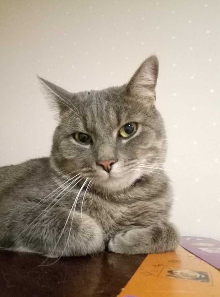 Хочет найтись Хочет найтись