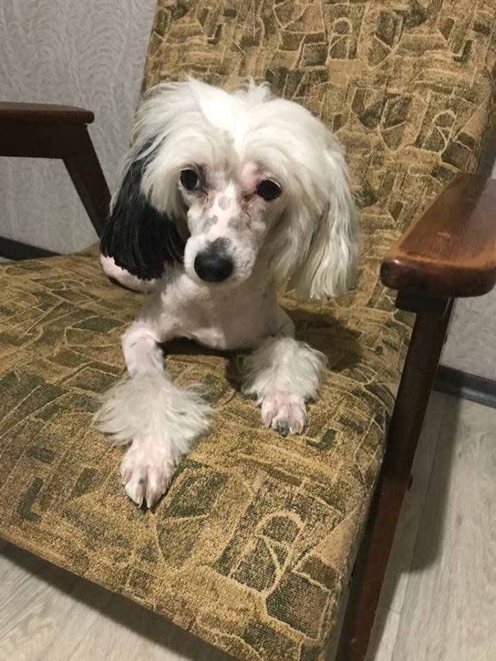 Помогите отыскать Помогите отыскать