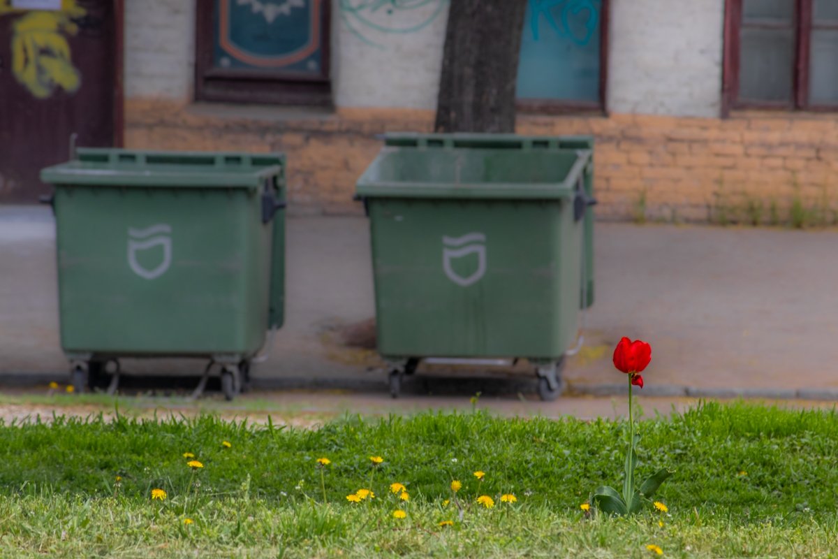 Природу не остановить Природу не остановить