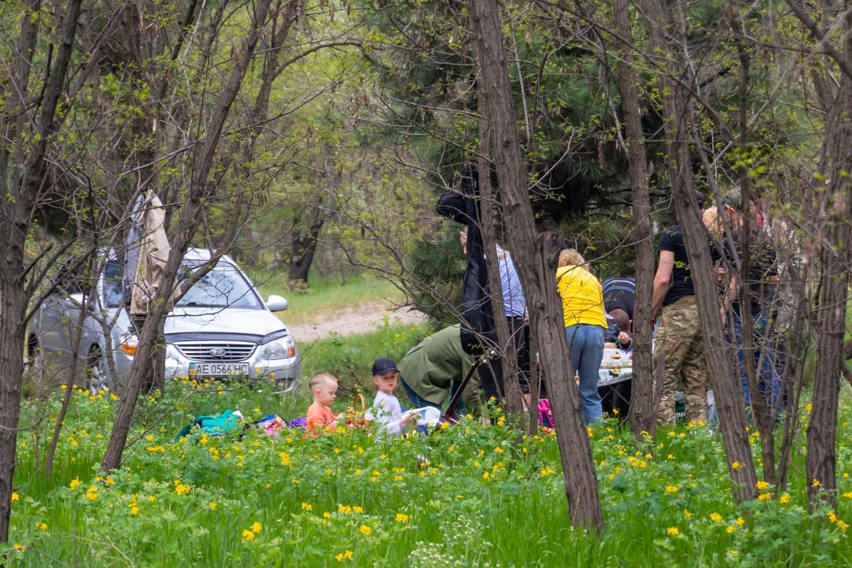 Цветы и цветы жизни Цветы и цветы жизни